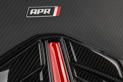 APR Carbon Fiber Engine Cover | Porsche Cayenne (19-26) (MS100256)