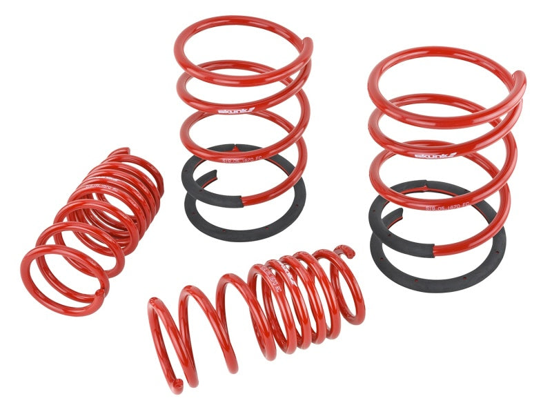 Skunk2 Racing Lowering Coil Spring Set 2.25in - 2.00in | Acura RSX (02-04) (519-05-1670)