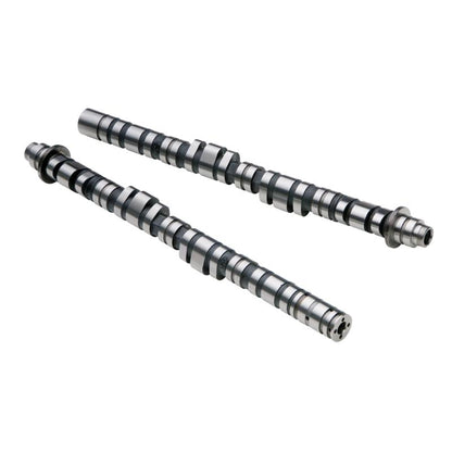 Skunk2 Tuner Series Honda H22A/F20B DOHC VTEC Stage 2 Cam Shafts