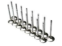 Brian Crower Stainless Steel Exhaust Valves | SRT-4 (BC3169)
