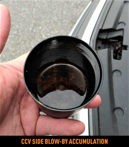 Mishimoto Complete Baffled Catch Can System | 2013+ Cadillac ATS 2.0T (MMBCC-ATS4-13S)