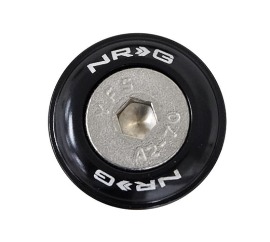 NRG Fender Washer Kit w/Rivets For Plastic - Set of 10 (FW-100)
