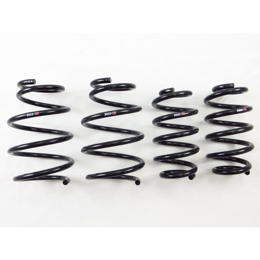 RS-R Down Sus Lowering Springs - 2015-2021 Lexus NX300h AWD/FWD