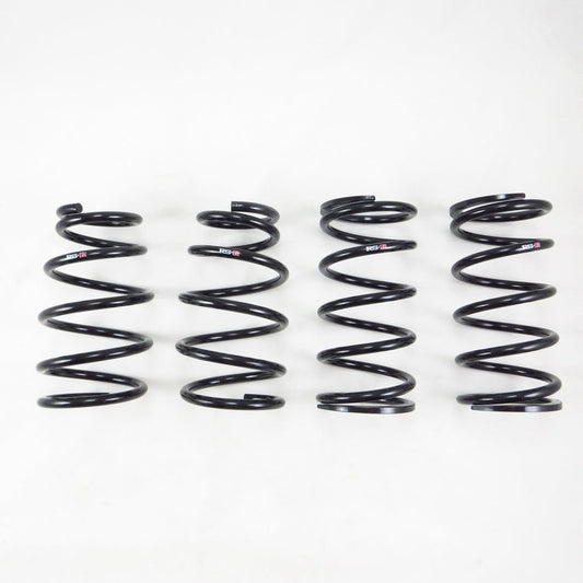 RS-R Down Sus Lowering Springs - 2016-2022 Lexus RX350 AWD