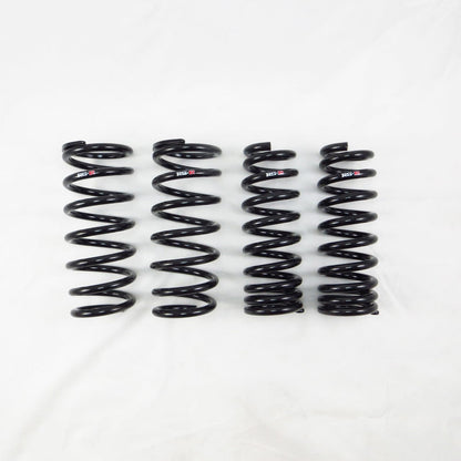 RS-R Down Sus Lowering Springs - 2018-2020 Lexus GS300 RWD (ARL10)
