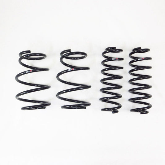 RS-R Down Sus Lowering Springs - 2019+ Toyota RAV4 FWD