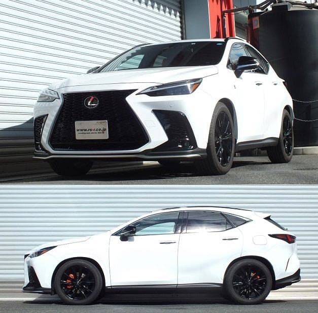 RS-R Down Sus Lowering Springs - 2022+ Lexus NX350h AWD (AAZH25)