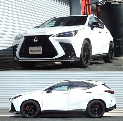 RS-R Down Sus Lowering Springs - 2023+ Lexus NX350 AWD (TAZA25)