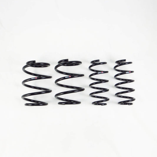 RS*R Down Sus Lowering Springs | 2018-2019 Honda Accord 2.0T (H133D)