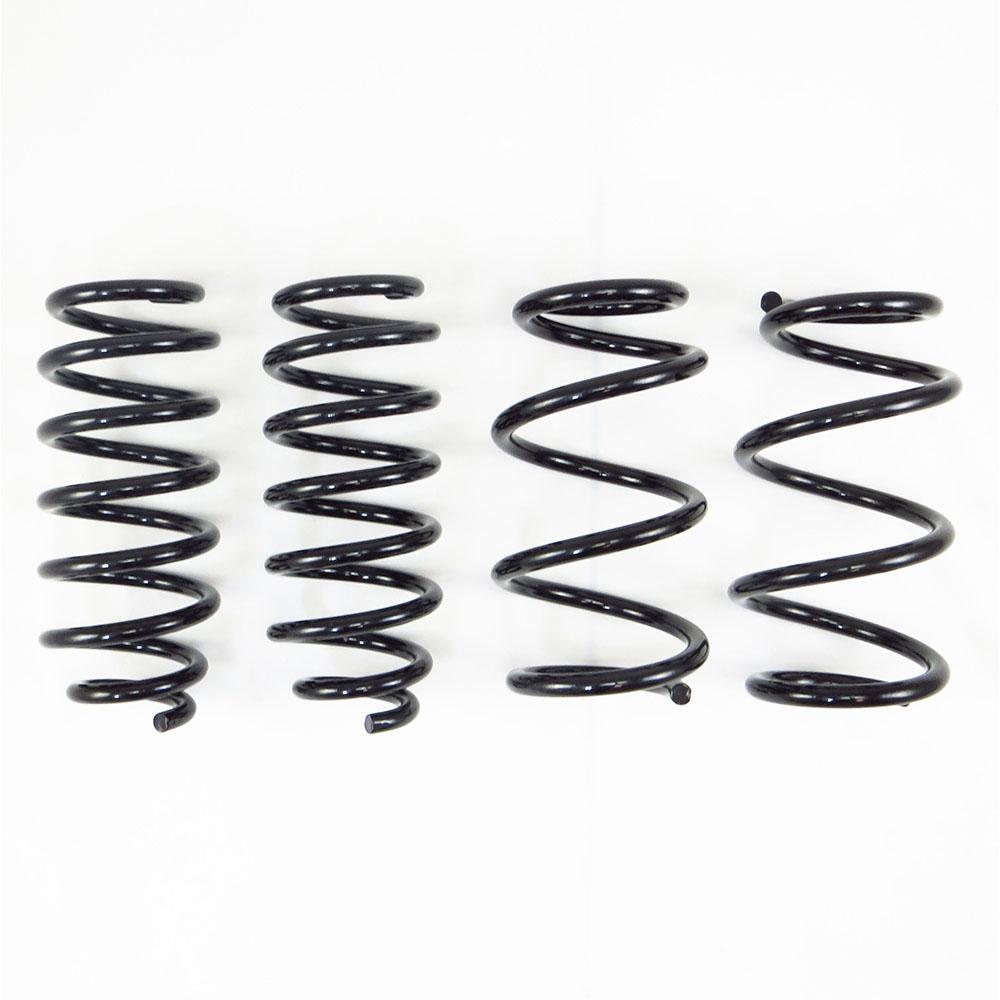 RS*R Ti2000 Down Sus Springs | 2017-2021 Tesla Model 3 RWD (TL001TD)