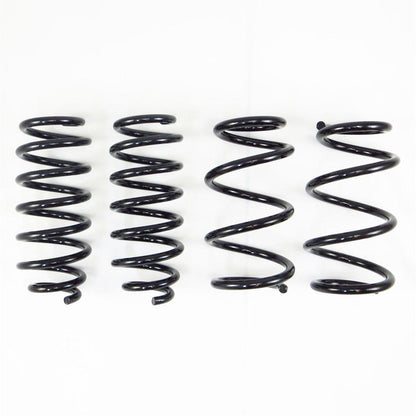 RS*R Ti2000 Down Sus Springs | 2017-2021 Tesla Model 3 RWD (TL001TD)