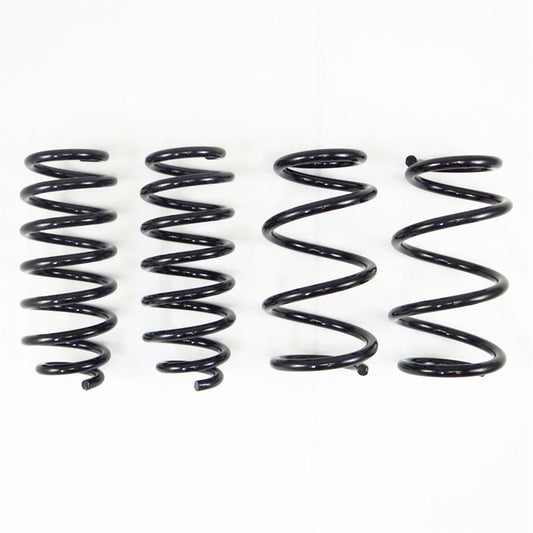 RS*R Ti2000 Down Sus Springs | 2017-2021 Tesla Model 3 RWD (TL001TD)