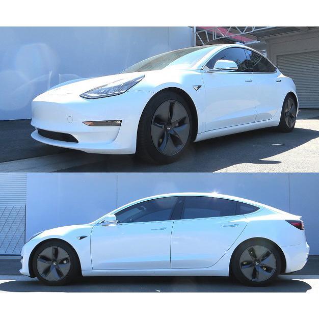RS*R Ti2000 Down Sus Springs | 2017-2021 Tesla Model 3 RWD (TL001TD)