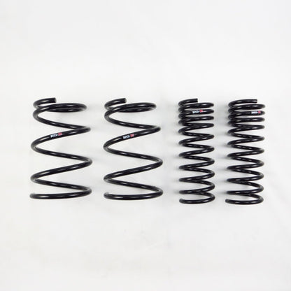 RS-R Down Sus Series Lowering Springs | 2015-2017 Subaru Outback 2.5 (F668W)