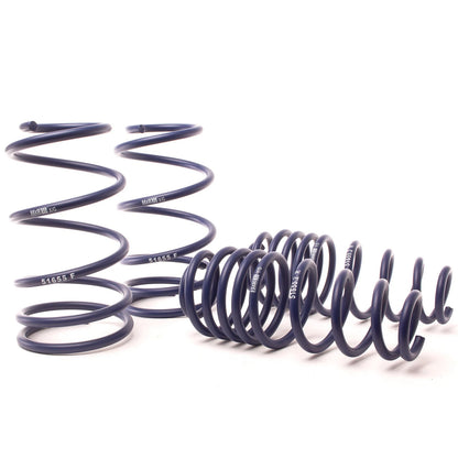 H&R Sport Springs for Ford Mustang 11-14 | V6/V8 (51690)