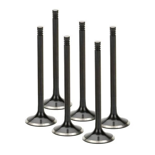Supertech BMW M20 Black Nitrided Exhaust Valve - Set of 6