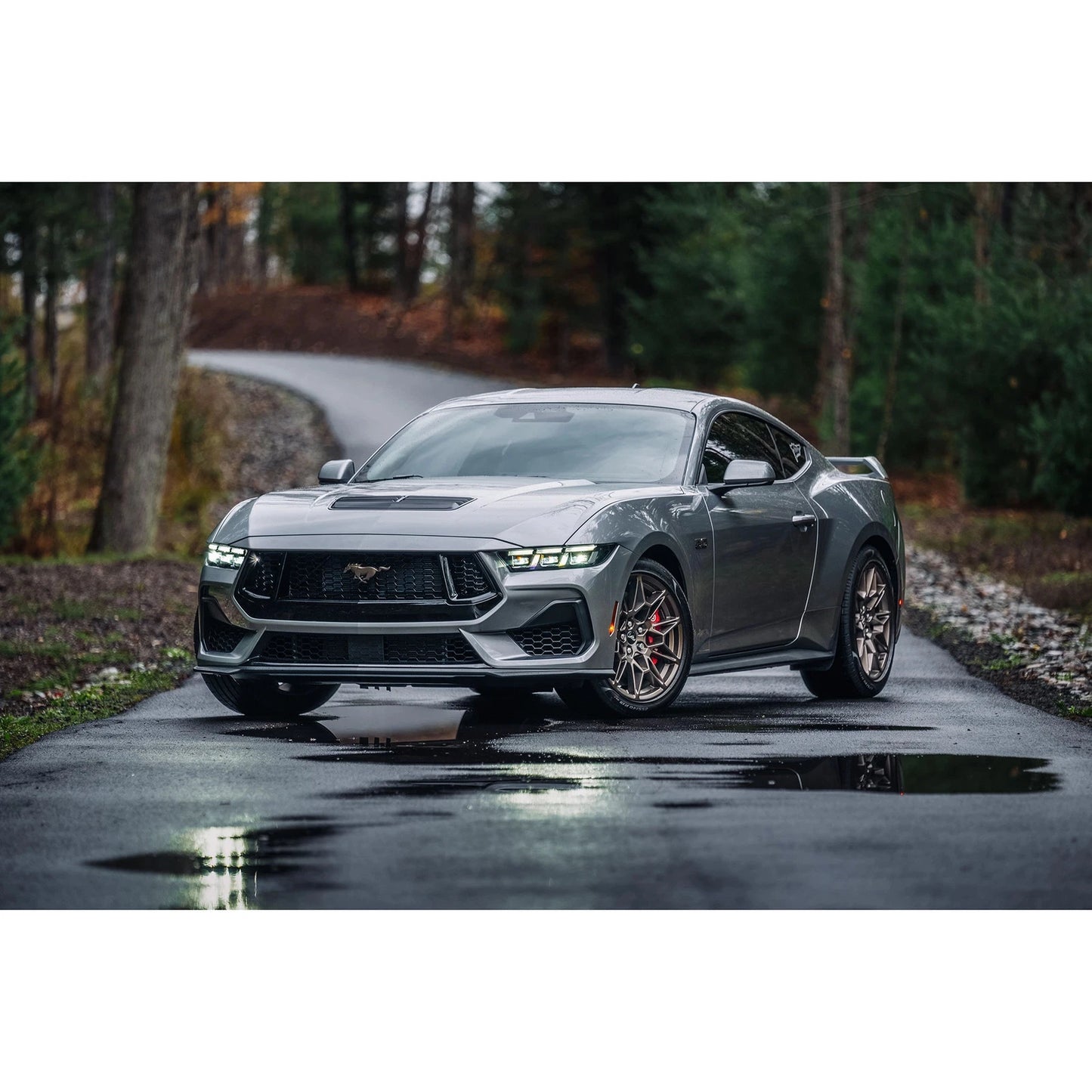 MBRP Armor Pro 3in T304 SS Cat-Back Dual Split Exhaust | Ford Mustang 5.0L (24+) (S7282304)