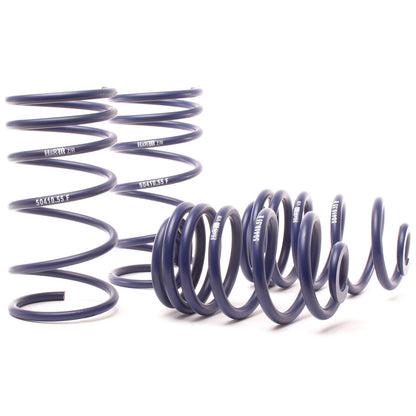 H&R OE Sport Springs Large Front Hat | BMW M3 3.0L/3.2L (94-99 E36) (50410-55)