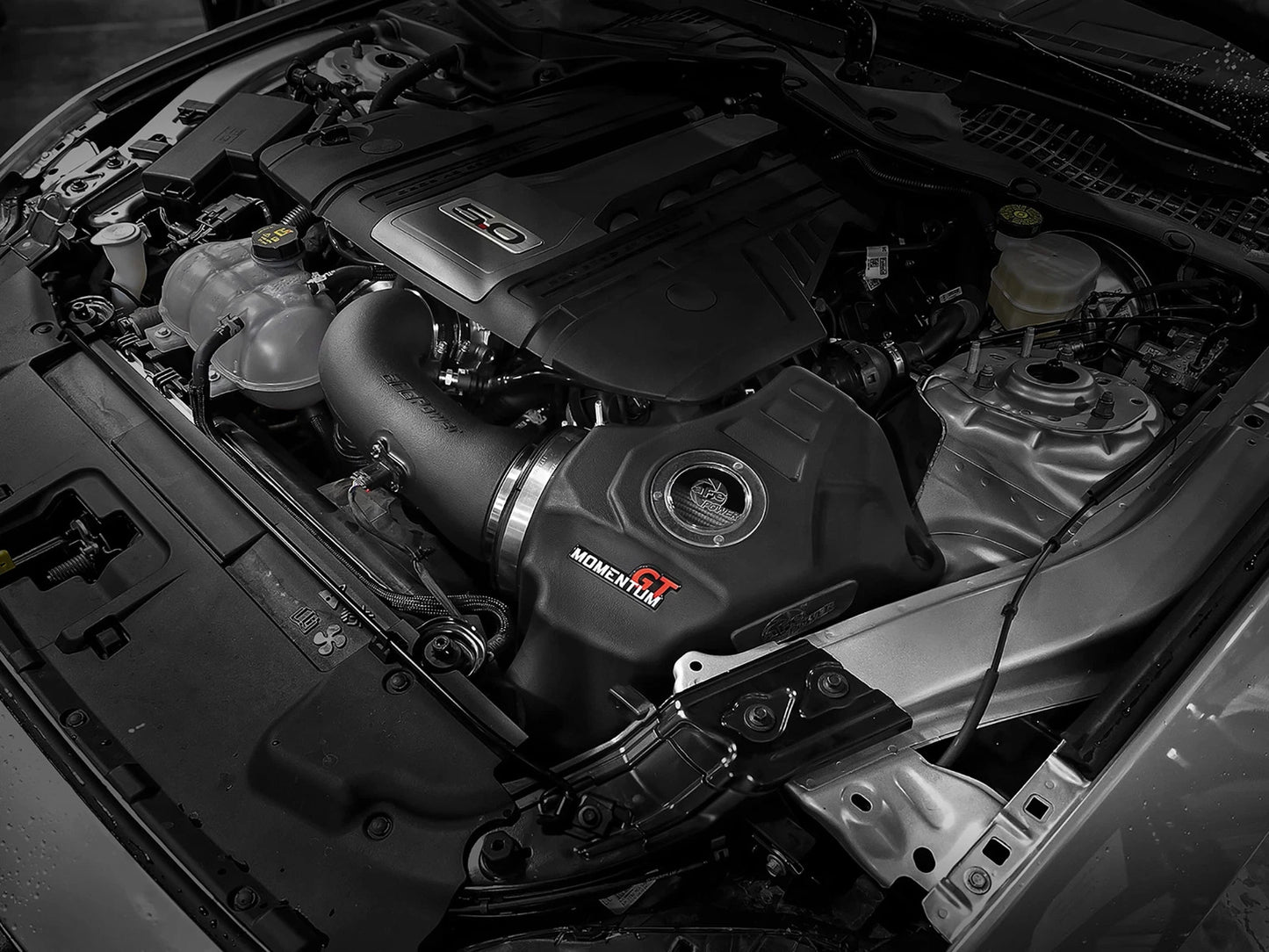 aFe Momentum GT Pro Dry S Cold Air Intake | Ford Mustang GT V8-5.0L (18-19) (50-70033D)