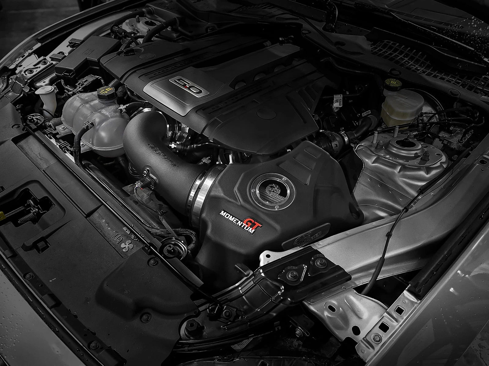 aFe Momentum GT Pro Dry S Cold Air Intake | Ford Mustang GT V8-5.0L (18-19) (50-70033D)