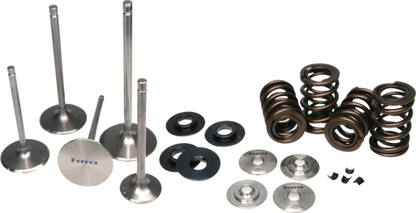 Ferrea BMW N54 Single Spring Kit