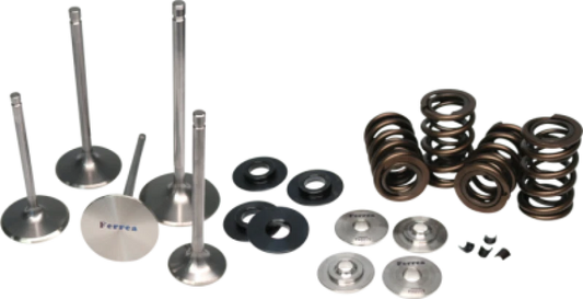 Ferrea 02-03 Harley-Davidson VRSCA V Rod Dual Valve Spring Kit