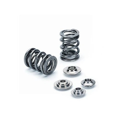 Supertech VW/Audi 2.7T 30V 6cyl Single & Dual Valve Spring Kit