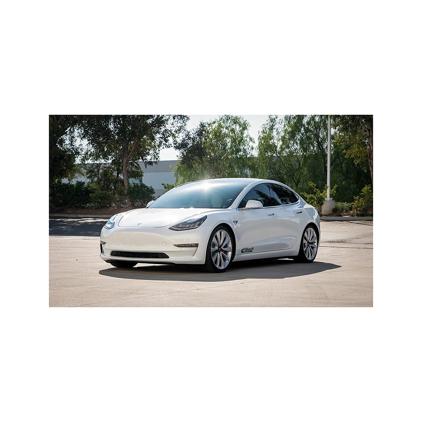 Eibach Pro-Kit Performance Springs | 2018-2021 Tesla Model 3 Performance AWD (E10-87-001-05-22)