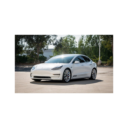 Eibach Pro-Kit Performance Springs | 2018-2021 Tesla Model 3 Performance AWD (E10-87-001-05-22)