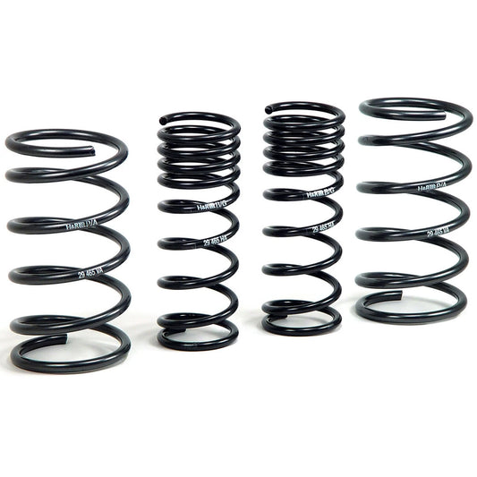 H&R Sport Spring Kit | Ford Focus SVT (00-05) (51665)