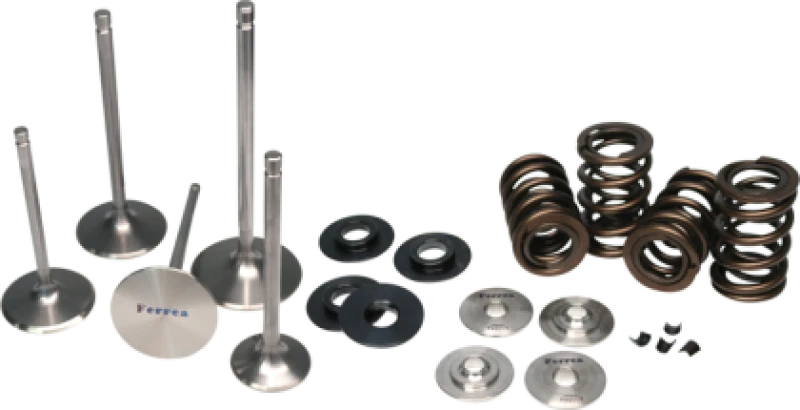Ferrea 02-03 Harley-Davidson VRSCA V Rod Valve Spring Kit