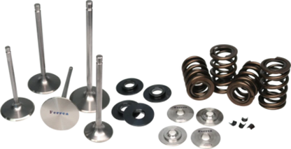 Ferrea 02-03 Harley-Davidson VRSCA V Rod Valve Spring Kit