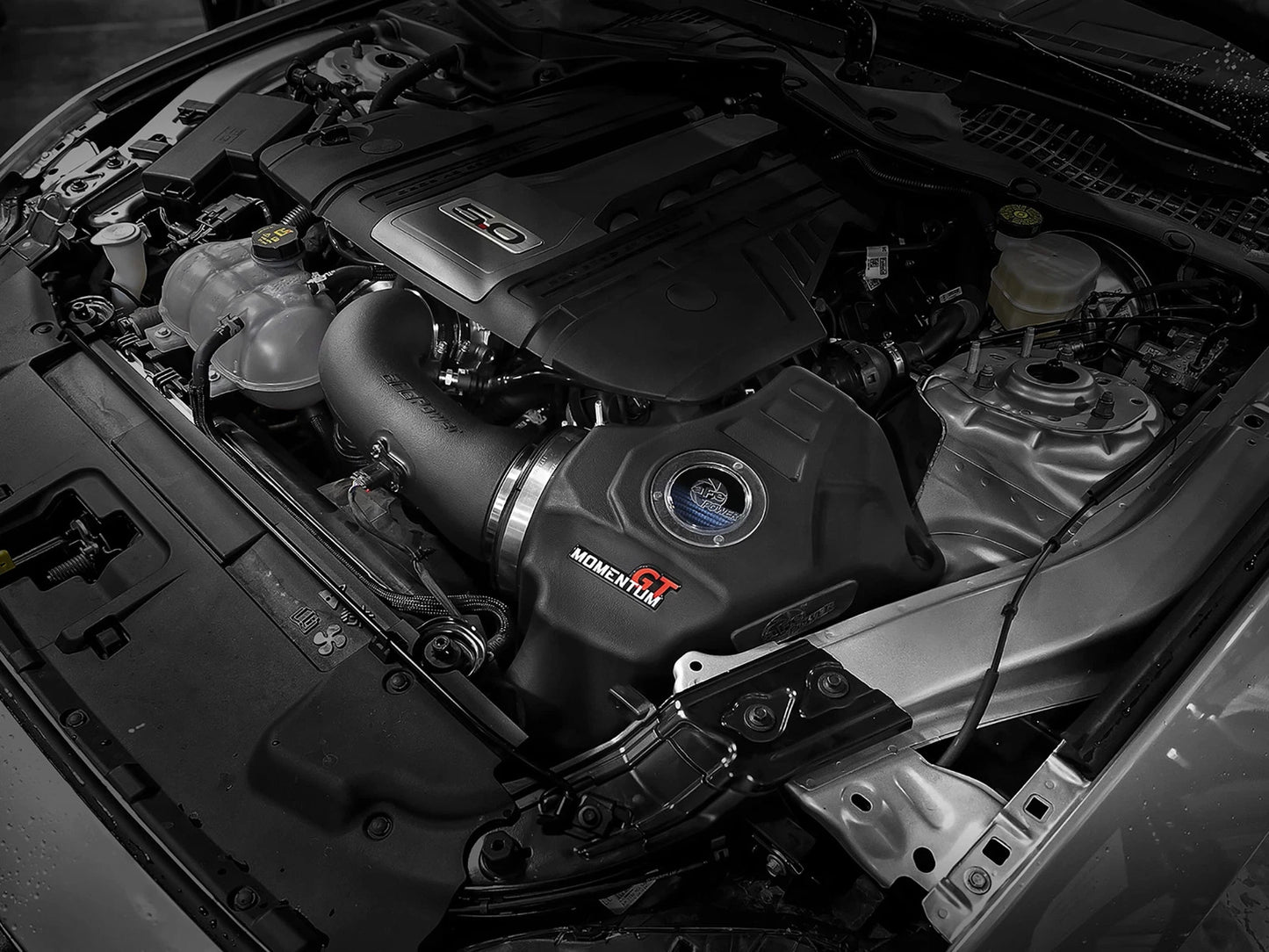 aFe Momentum GT Pro 5R Cold Air Intake System | Ford Mustang GT (18-19) (50-70033R)