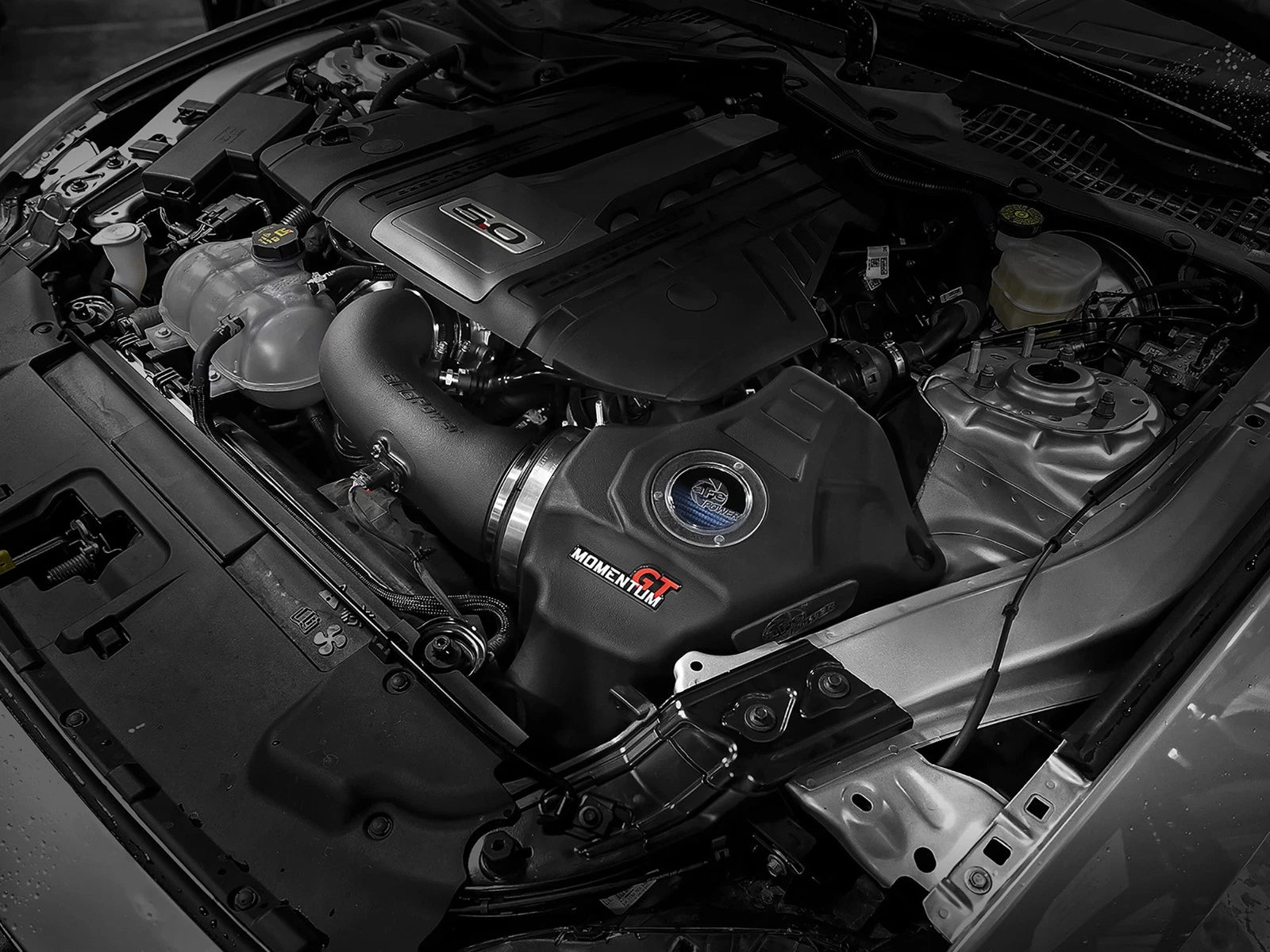 aFe Momentum GT Pro 5R Cold Air Intake System | Ford Mustang GT (18-19) (50-70033R)