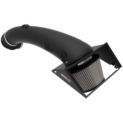 aFe Rapid Induction Pro DRY S Cold Air Intake | Ford F-150 V8-5.0L (21+) (52-10012D)
