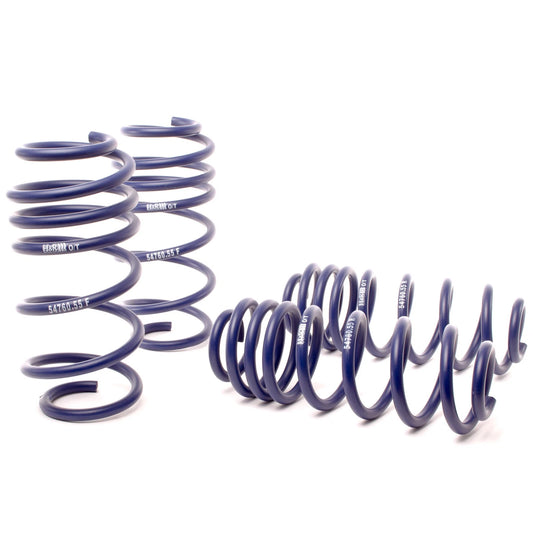H&R OE Sport Springs | VW Passat Sedan (12-22) (54760-55)