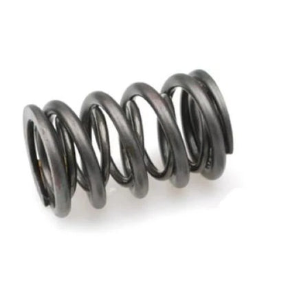 Brian Crower Honda H22/Nissan SR20VE Dual Valve Springs
