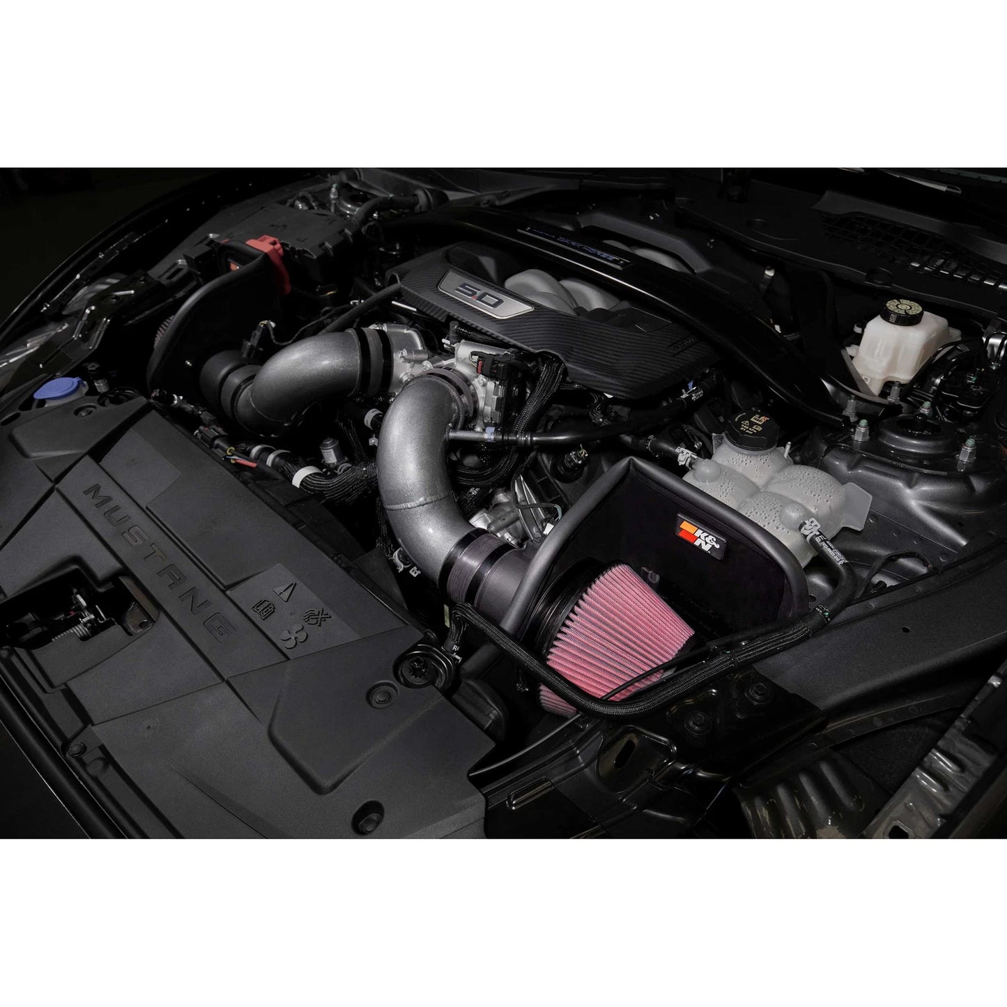 K&N Typhoon Performance Air Intake System | Ford Mustang (24+)(69-3541TC)