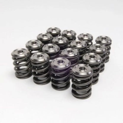 Skunk2 Alpha Series Honda/Acura B Series Valve Spring and Titanium Retainer Kit