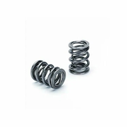 Supertech Honda H22A1/H22A4 Dual Valve Spring - Set of 16
