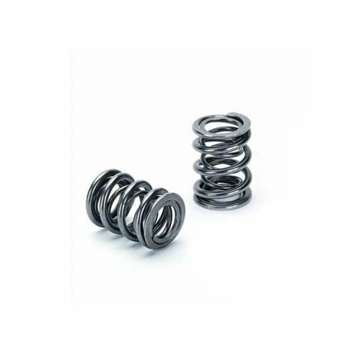 Supertech Honda H22A1/H22A4 Dual Valve Spring - Set of 16