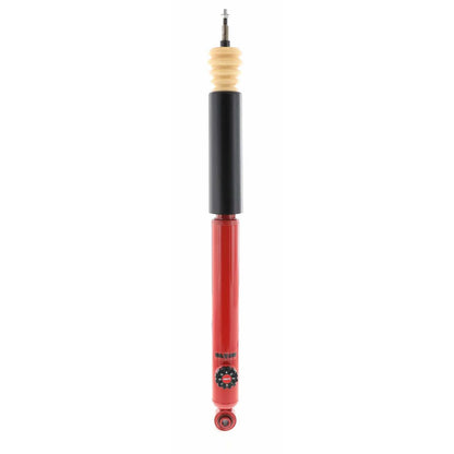 KYB AGX Manually-Adjustable Rear Shocks & Struts | Ford Focus (00-07) (741067)