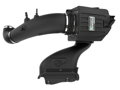 aFe Quantum Cold Air Intake w/ Pro Dry S Filter | Ford F-150 (15-20) (53-10034D)