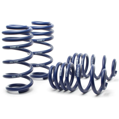 H&R Sport Spring Kit | Audi A6/A6 Quattro 2005-2011 (2WD/4WD) (29200-2)