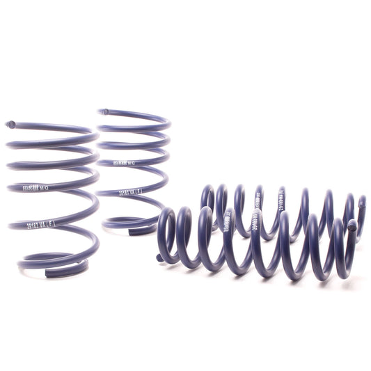 H&R Race Spring Kit | BMW 328i Sedan/335i Sedan E90 (07-11) (50490-88)