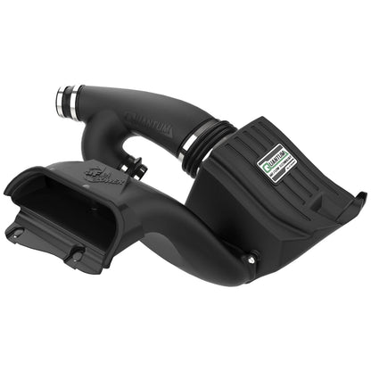 aFe Quantum Cold Air Intake w/ Pro DRY S Filter | Ford F-150 EcoBoost V6 2.7L/3.5L (15-24) (53-10033D)