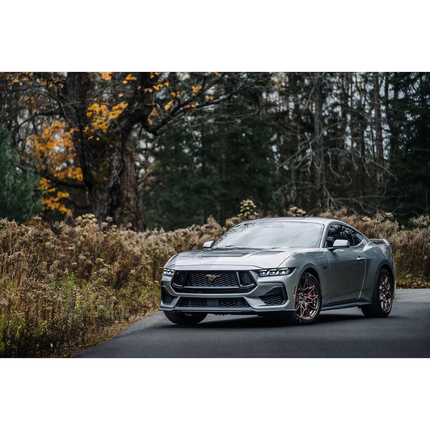 MBRP Armor Lite 3in Street Profile Catback Exhaust | Ford Mustang GT (24+) (S7280AL)
