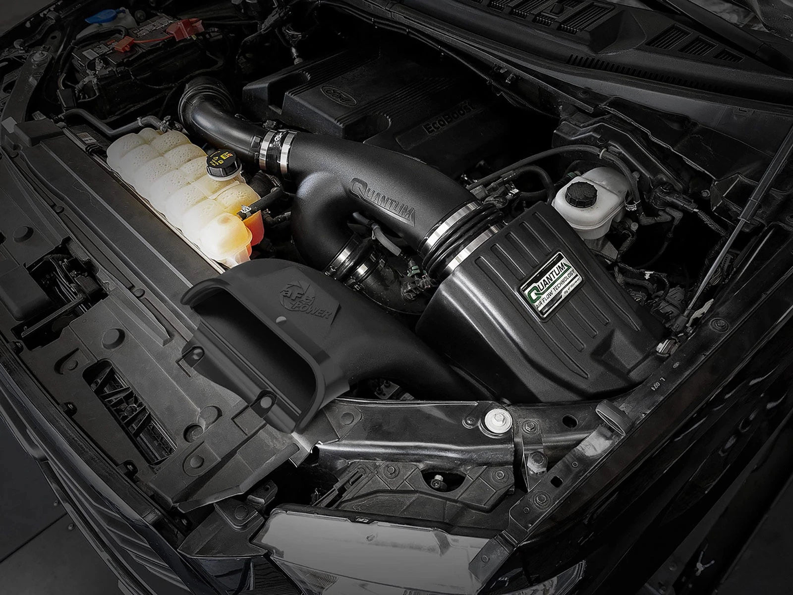 aFe Quantum Cold Air Intake w/ Pro DRY S Filter | Ford F-150 EcoBoost V6 2.7L/3.5L (15-24) (53-10033D)