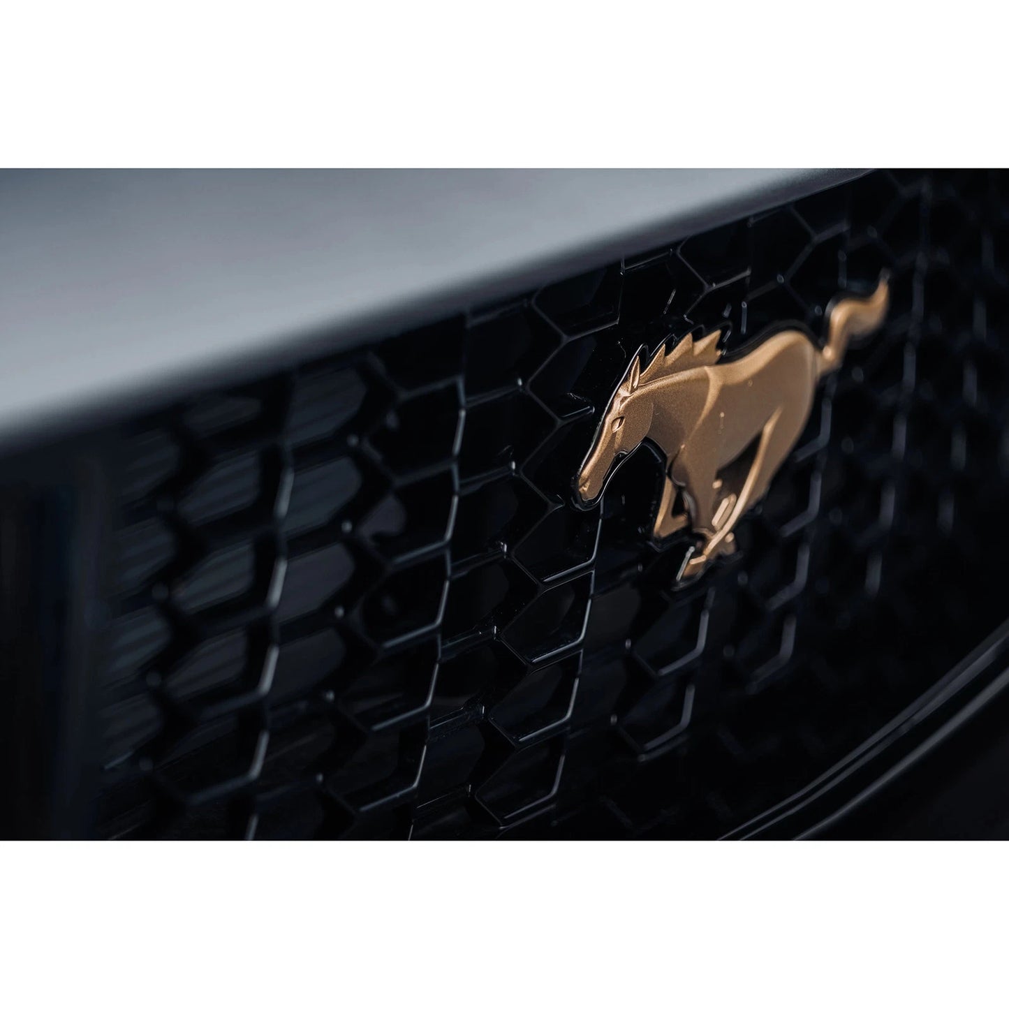 MBRP 3in Cat-Back Dual Split Rear Exhaust | Ford Mustang GT 5.0L (24+) Quad Black Tips (S7280BLK)