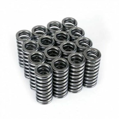 Skunk2 Alpha Series Honda D Series VTEC Valve Spring Set